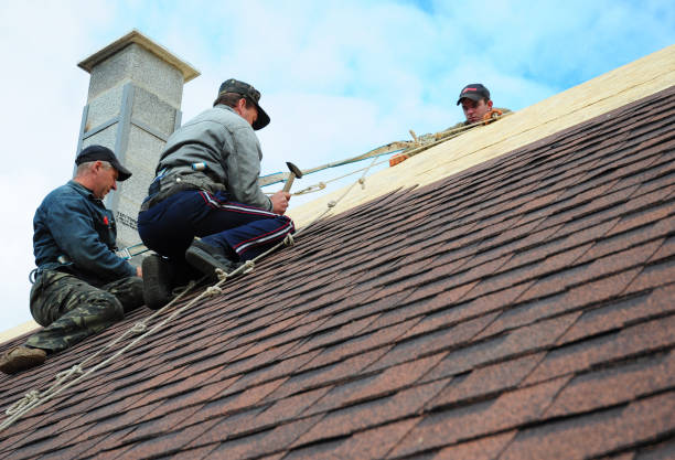 Roof Gutter Cleaning in Aberdeen, MD